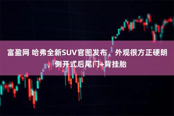富盈网 哈弗全新SUV官图发布，外观很方正硬朗，侧开式后尾门+背挂胎