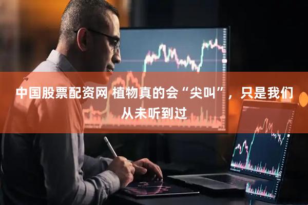 中国股票配资网 植物真的会“尖叫”，只是我们从未听到过
